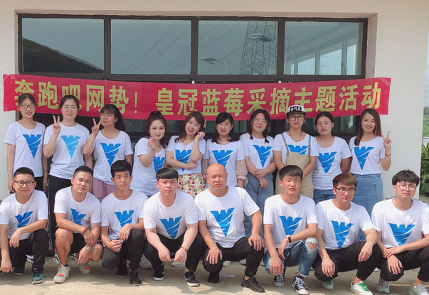 【奔跑吧網(wǎng)勢！】藍莓采摘主題團建活動