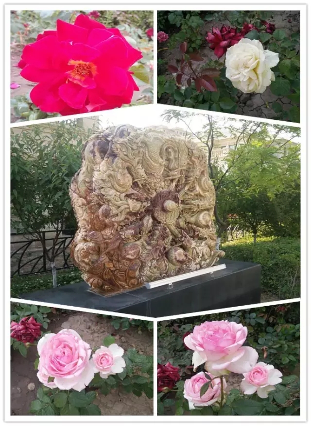 網(wǎng)勢(shì)科技6周歲生日快樂(lè)！